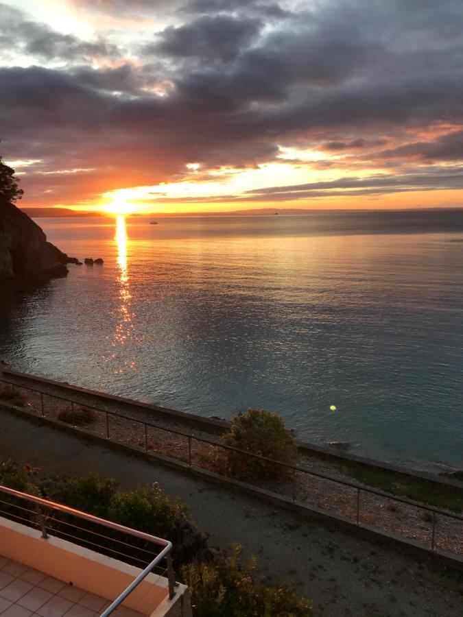 Appartement Cosy Les Pieds Dans L'Eau, Vue Mer Exceptionnelle Crozon Zewnętrze zdjęcie