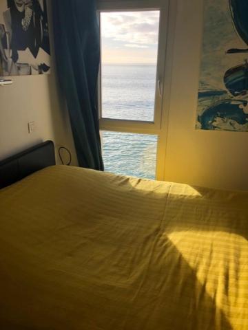 Appartement Cosy Les Pieds Dans L'Eau, Vue Mer Exceptionnelle Crozon Zewnętrze zdjęcie