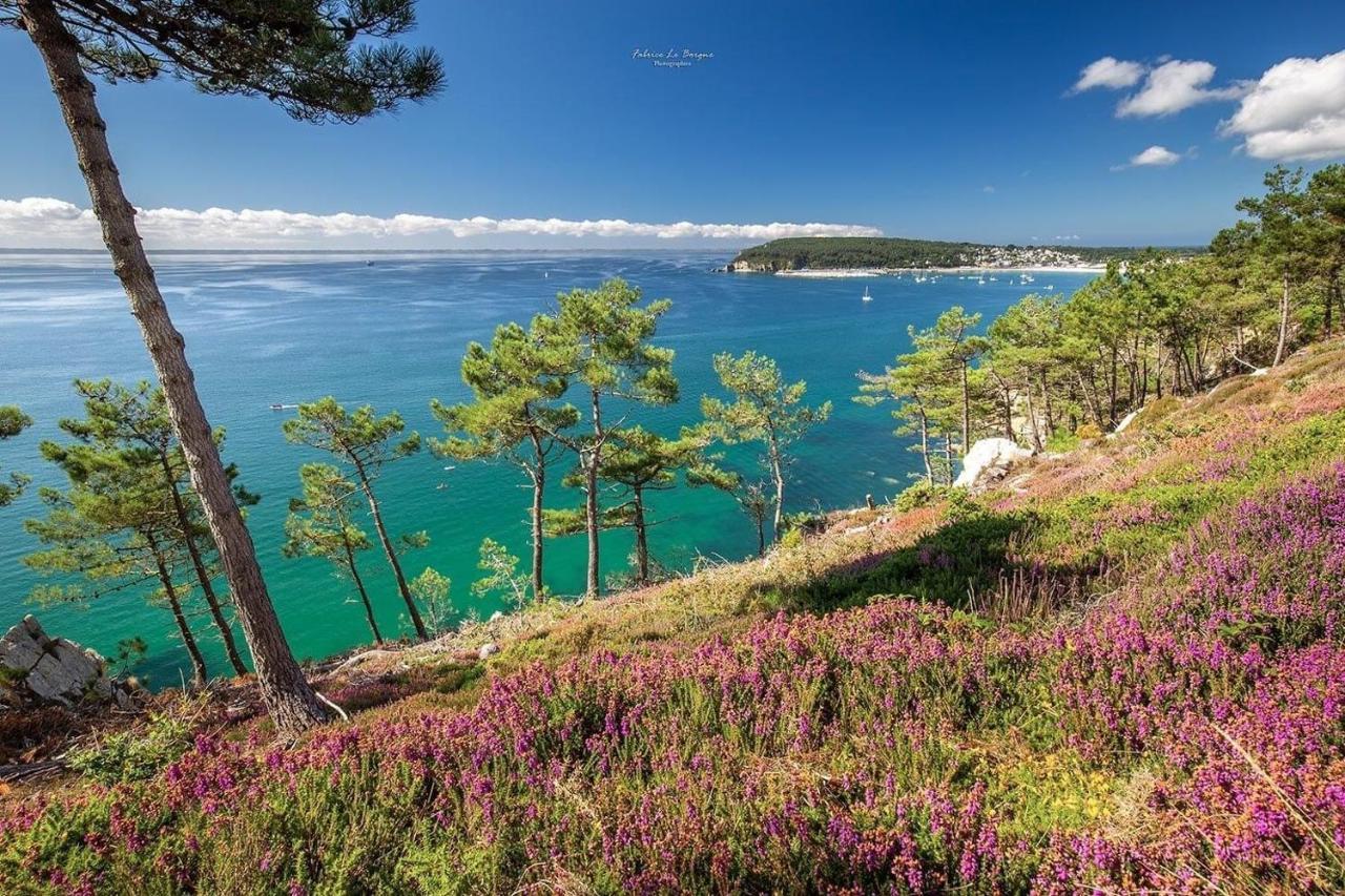 Appartement Cosy Les Pieds Dans L'Eau, Vue Mer Exceptionnelle Crozon Zewnętrze zdjęcie